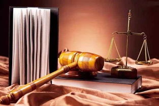 文物拍賣中權利競合關系的妥善處理